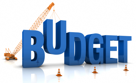Il budget parte dallidea di business.